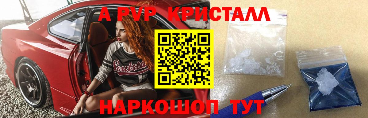 Альфа ПВП СК КРИС Выборг