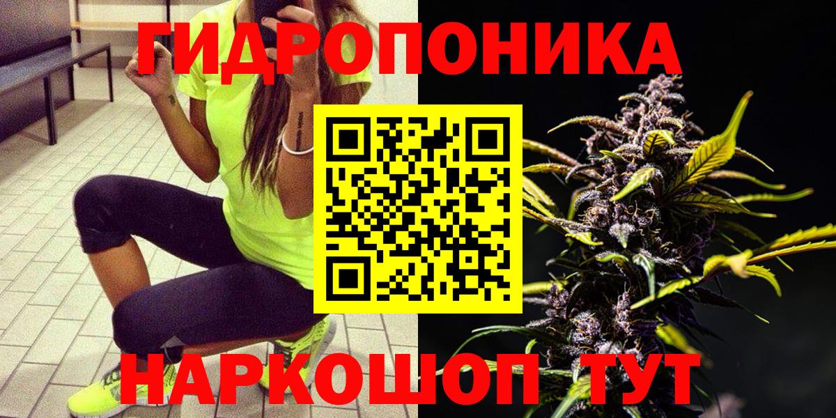 Канабис Ganja  Шишки марихуана планчик  Вход с VPN  Выборг 